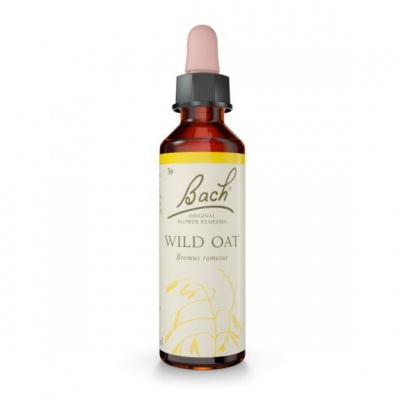 Bach Wild Oat 20ml